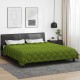 Зимна олекотена завивка Color Arctic с полиестерен пълнеж, 450 г/м², зелена