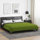 Двулицева лятна олекотена завивка Color Warm с полиестерен пълнеж, 200 г/м², в зелено и антрацит