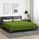 Зимна двулицева олекотена завивка Color Arctic с полиестерен пълнеж, 450 г/м², в зелено и антрацит