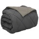 Двулицева зимна олекотена завивка Color Comfort с полиестерен пълнеж, 300 г/м², в светлосиво и антрацит