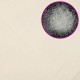 Тежко одеяло светлокремаво 200x225 см 9 кг